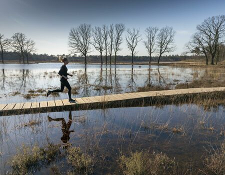 Hardloper Op Een Pad Door Een Natuurgebied Bij Breda Foto Marc Bolsius